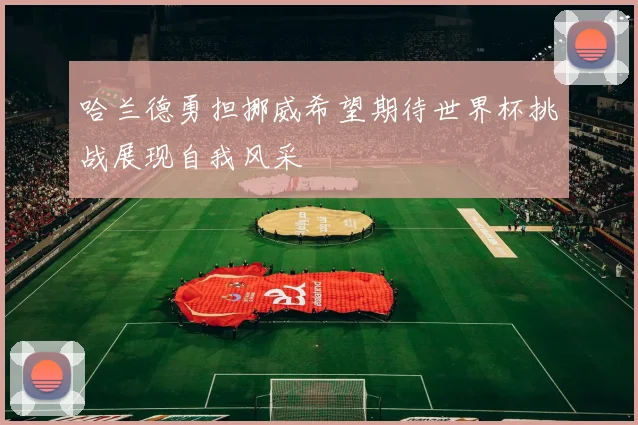 哈兰德勇担挪威希望期待世界杯挑战展现自我风采