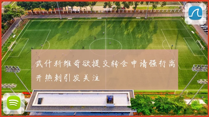 武什科维奇欲提交转会申请强行离开热刺引发关注